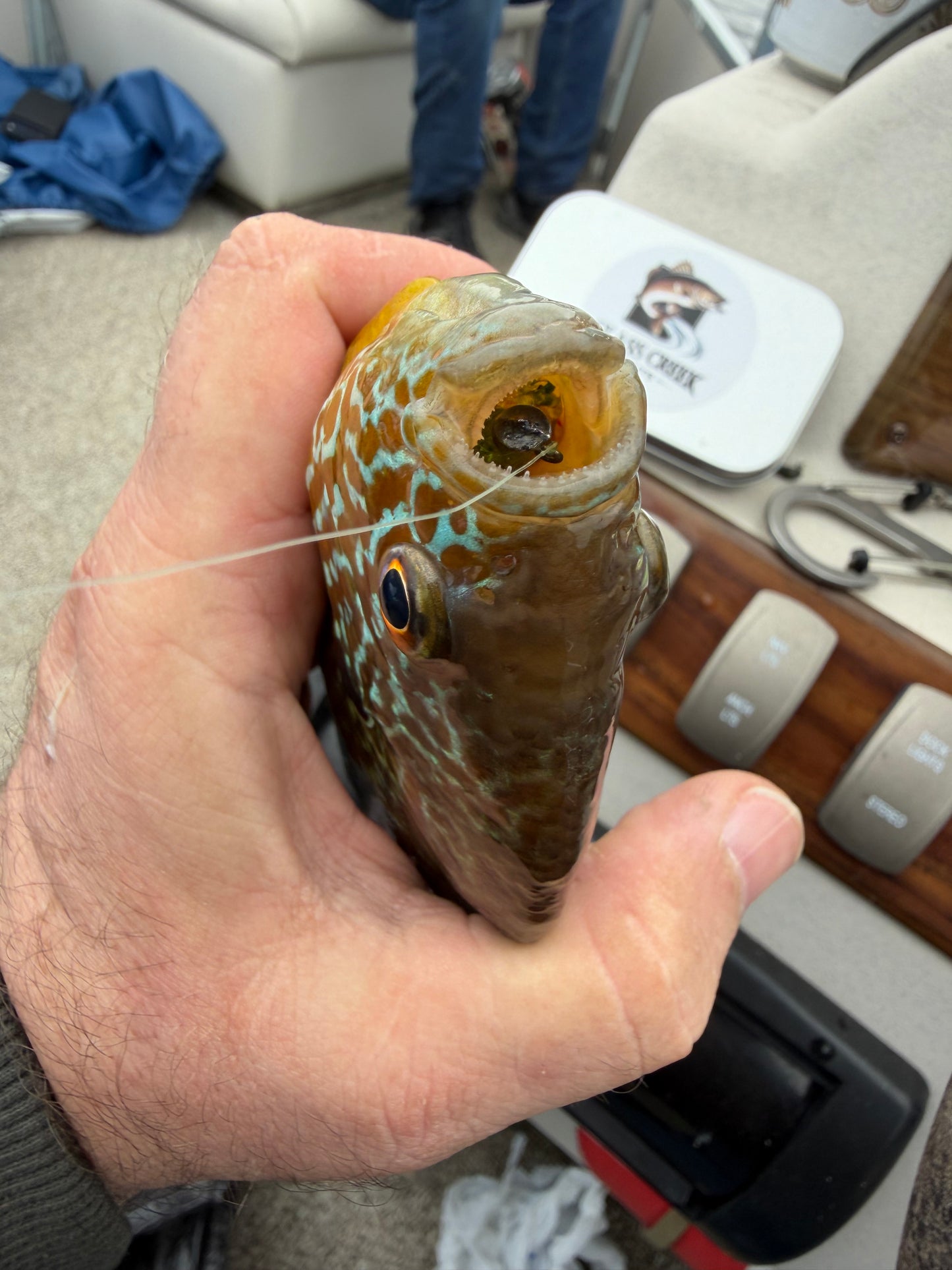 2” Pinpoint Minnow