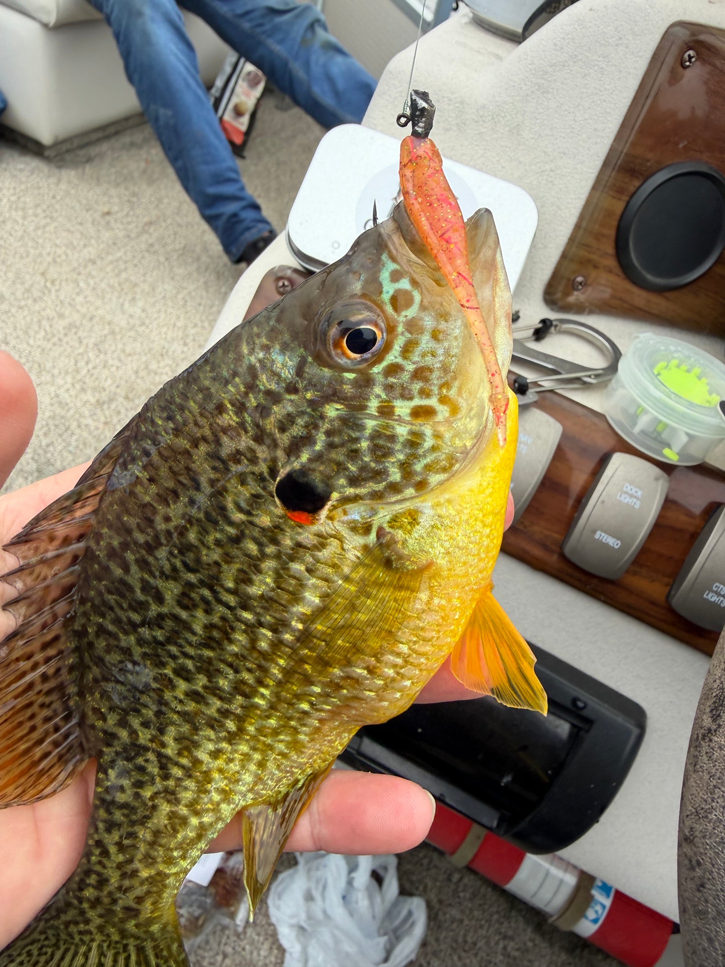 2” Pinpoint Minnow