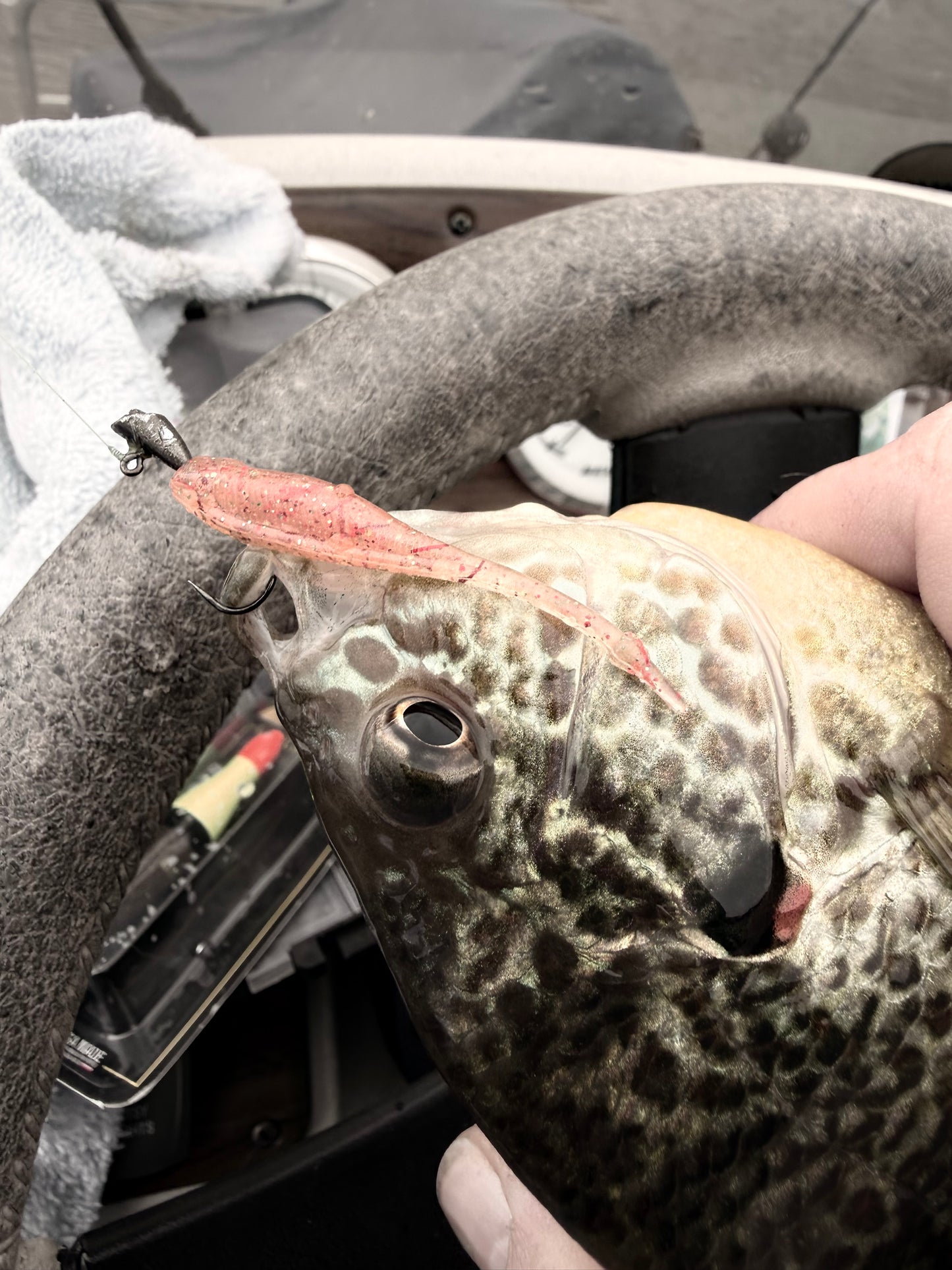 2” Pinpoint Minnow