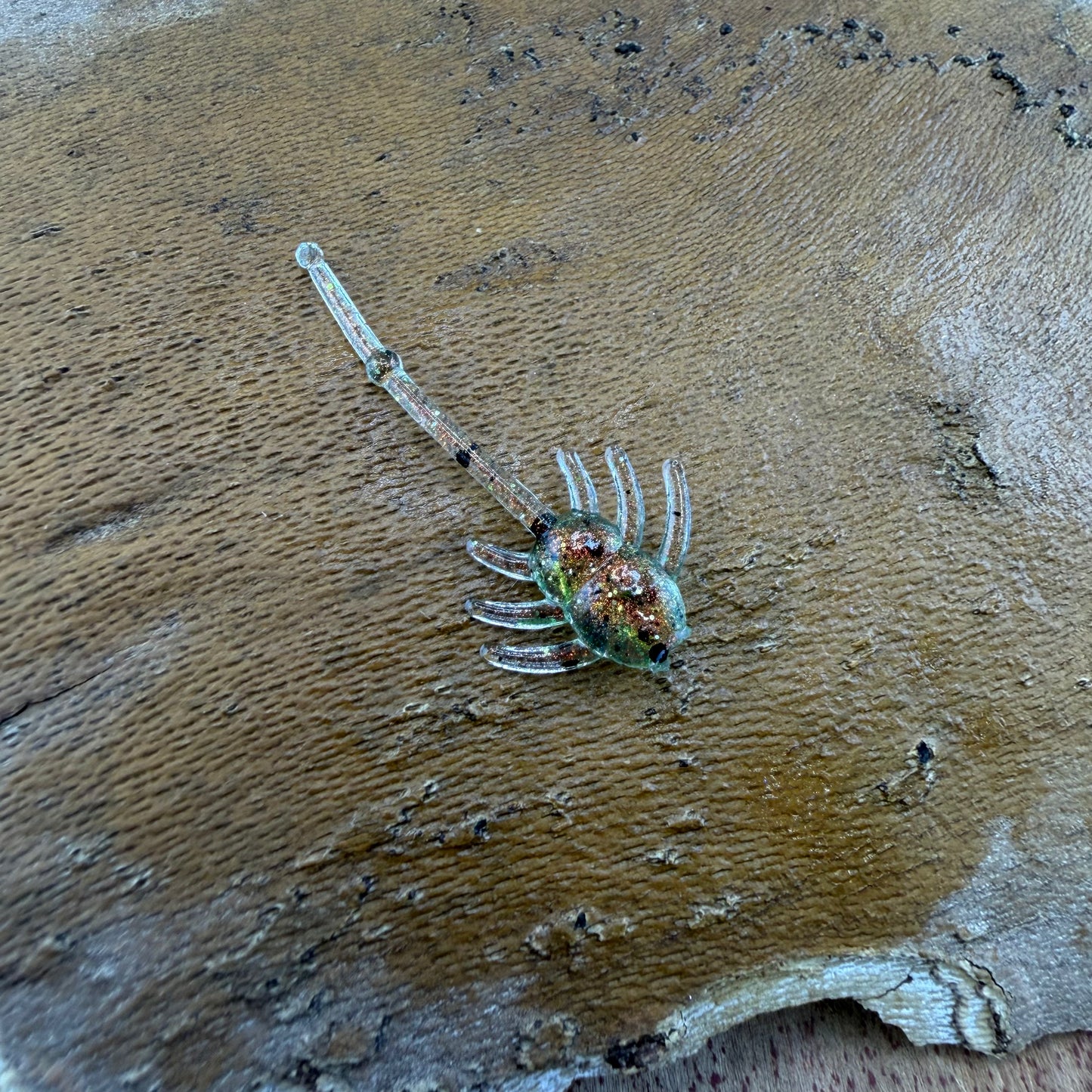 1.5" Sypdermite